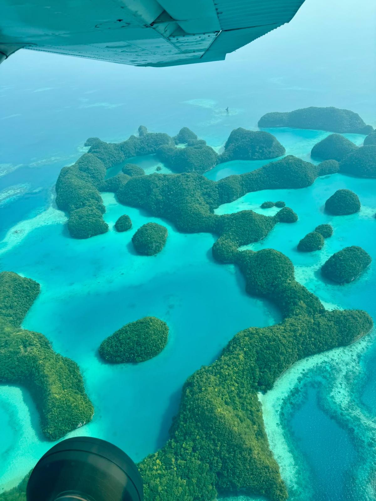 The Sanctuary Palau