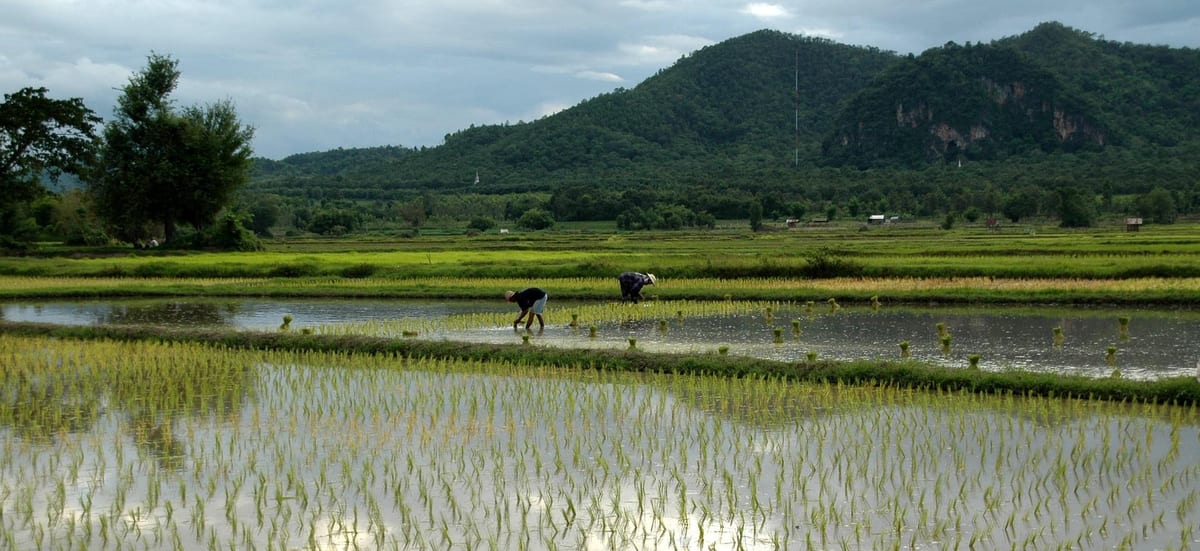 Northern Thailand countryside
